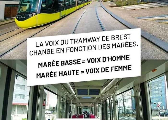 T2 Rive Droite Brest