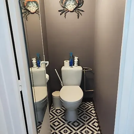 T2 Rive Droite 布雷斯特